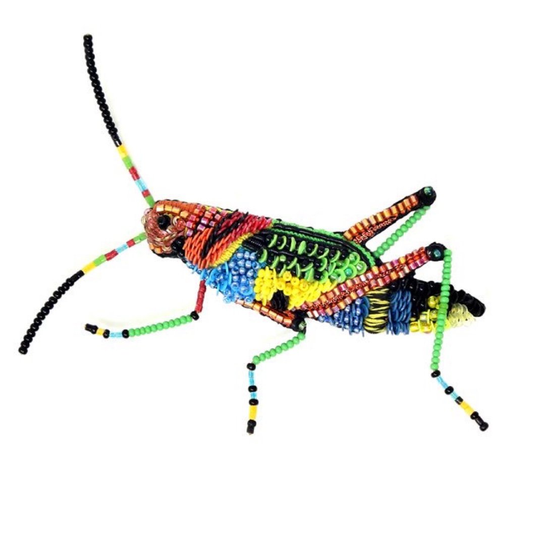 Painted Grasshopper Brooch