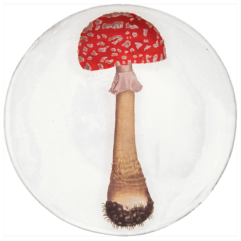 Astier de Villatte John Derian Medium Agaric Fausse Oronge Mushroom Plate