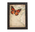 Framed Monarch Butterfly on Minnesota Map