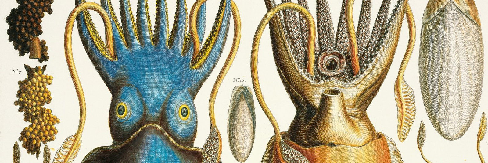 Natural History Books