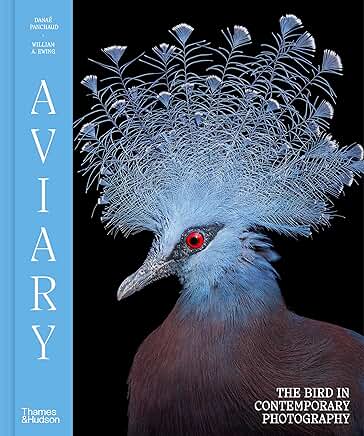Aviary:  The Bird in Contemporary Photography