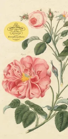John Derian Everthing Roses Notepad