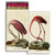 Flamingo and Spoonbill Matches