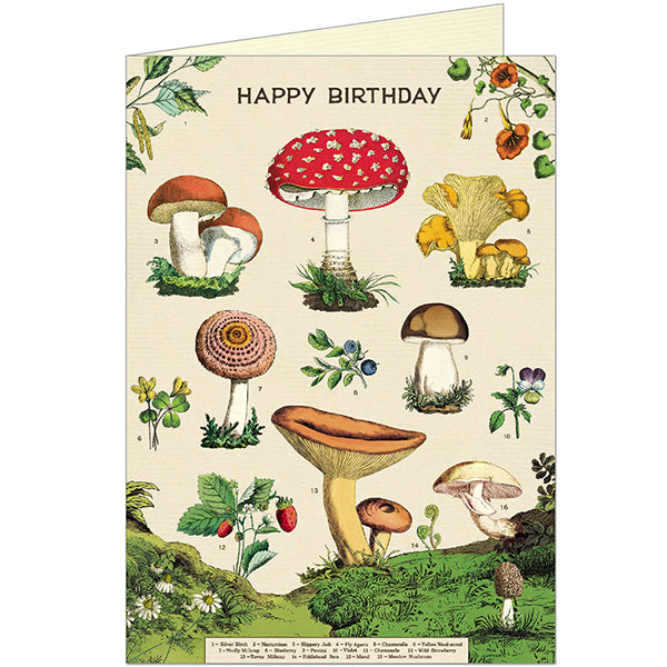 Happy Birthday Mushroom Card