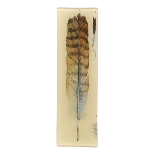 John Derian Feather 3.5" x 12" Rectangular Decoupage Tray