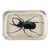 John Derian Horned Beetle Dotted Edge Rectangular Paperweight