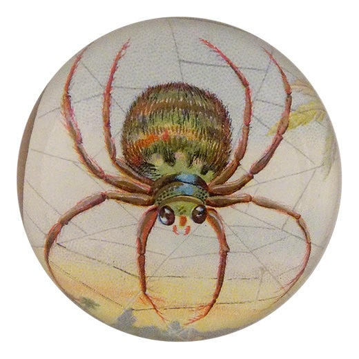 John Derian Big Spider Web Dome Decoupage Paperweight