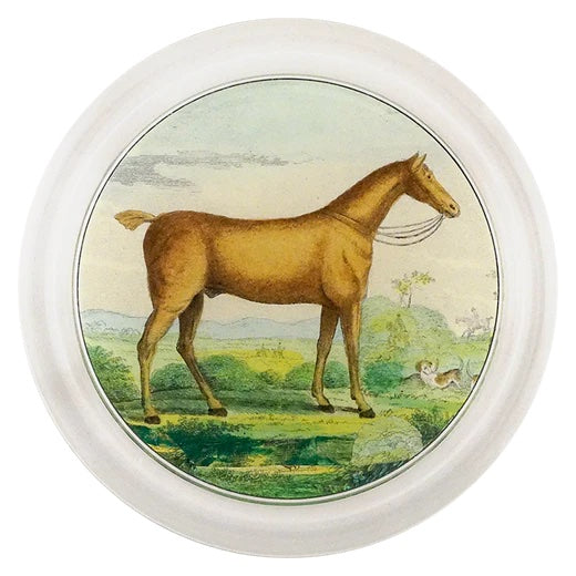 John Derian Brown Horse 6" Decorative Coaster