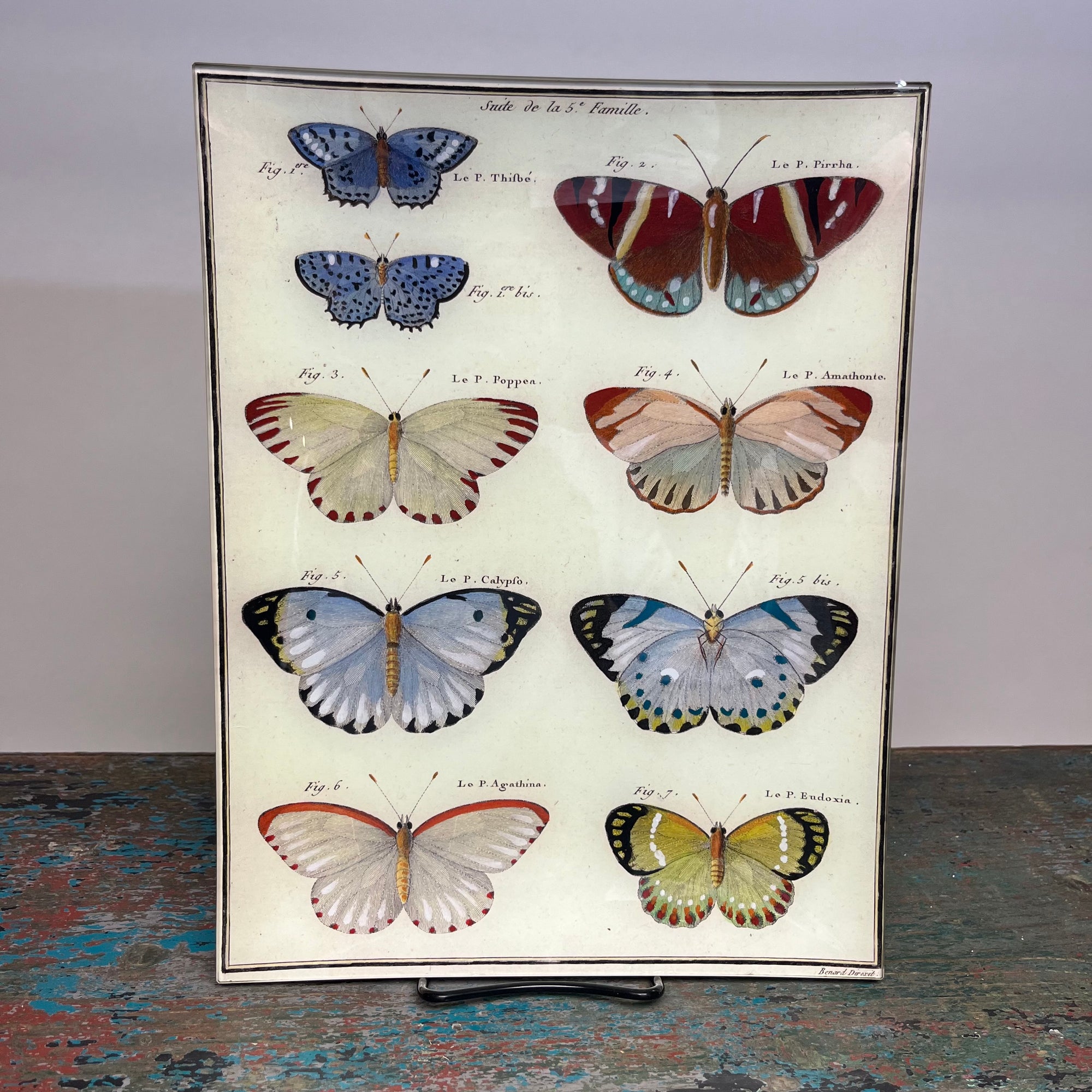 John Derian Butterflies 10' x 13' Decoupage Tray