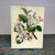 John Derian Crab Apple 8" x 10.5" Rectangular Decoupage Tray