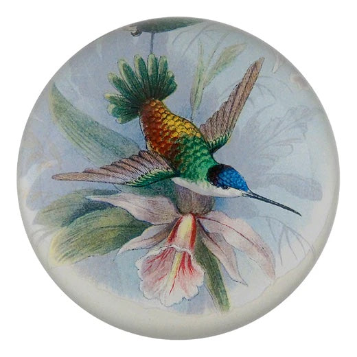 John Derian Hummingbird Detail Dome Decoupage Paperweight