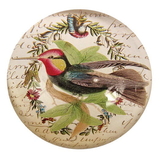 John Derian Hummingbird Dome Decoupage Paperweight