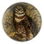 John Derian Owl with Leaves Dome Decoupage Paperweight