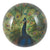 John Derian Peacock Close-Up Dome Decoupage Paperweight