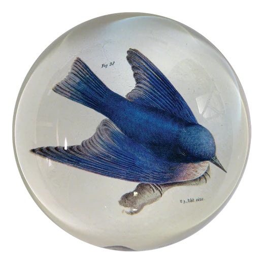 John Derian Pudgy Bluebird Dome Decoupage Paperweight