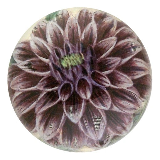 John Derian Purple Dahlia Dome Decoupage Paperweight