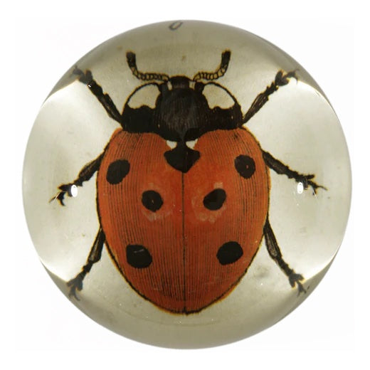 John Derian Red Ladybug Dome Decoupage Paperweight