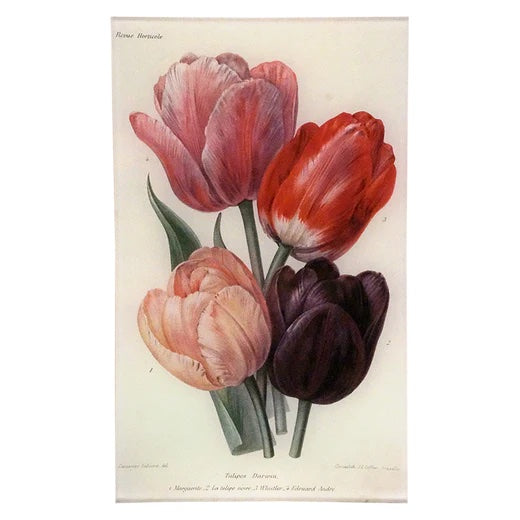 John Derian Darwin Tulips 7" x 11.5" Rectangular Tray