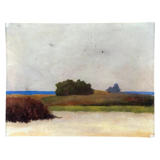 John Derian Dune Painting 8" x 10.5" Rectangular Decoupage Tray