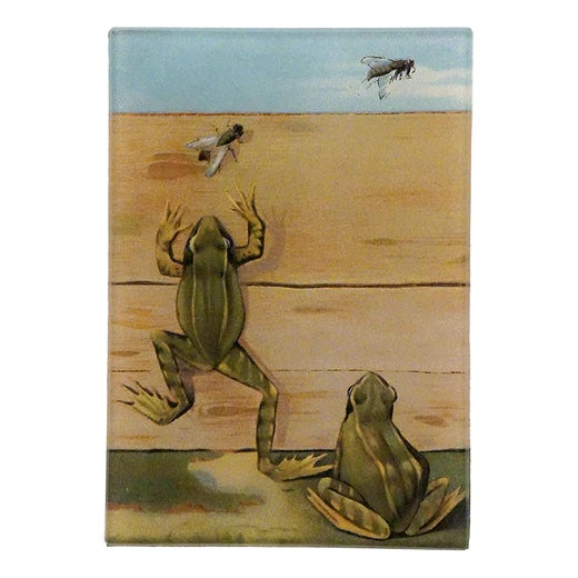John Derian Frogs & Flies 3.5" x 5" Tiny Decoupage Rectangular Tray