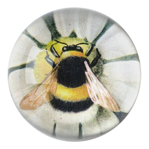 John Derian Fuzzy Bee Dome Decoupage Paperweight