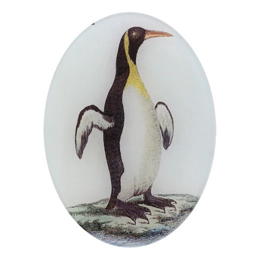 John Derian Guillemot 5" x 7" Oval Decoupage Plate
