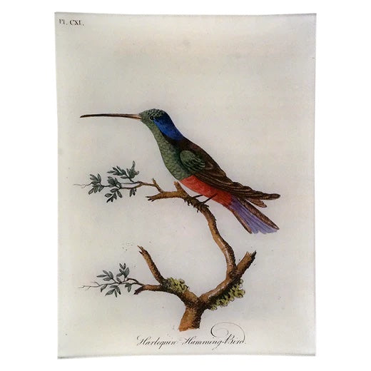 John Derian Harlequin Hummingbird Decoupage Tray 9" x 12"