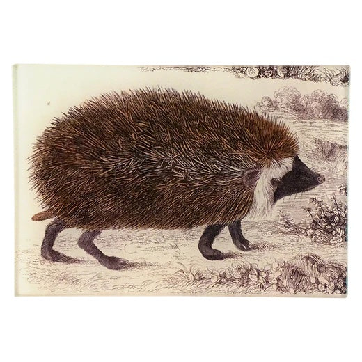 John Derian Hedge Hog 4.5" x 6.5" Mini Tray