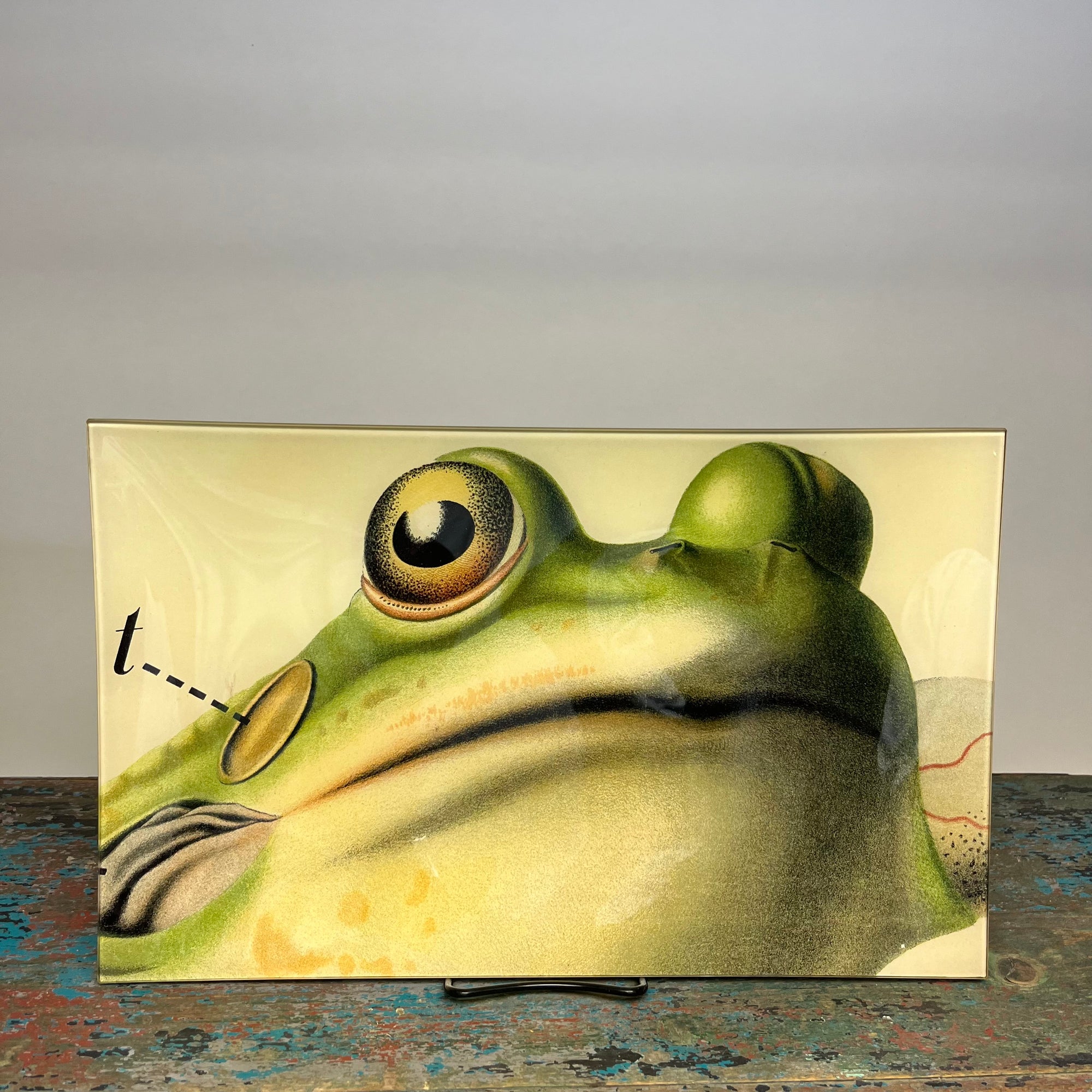 John Derian Frog Close-Up 10" x 16" Rectangular Decoupage Tray