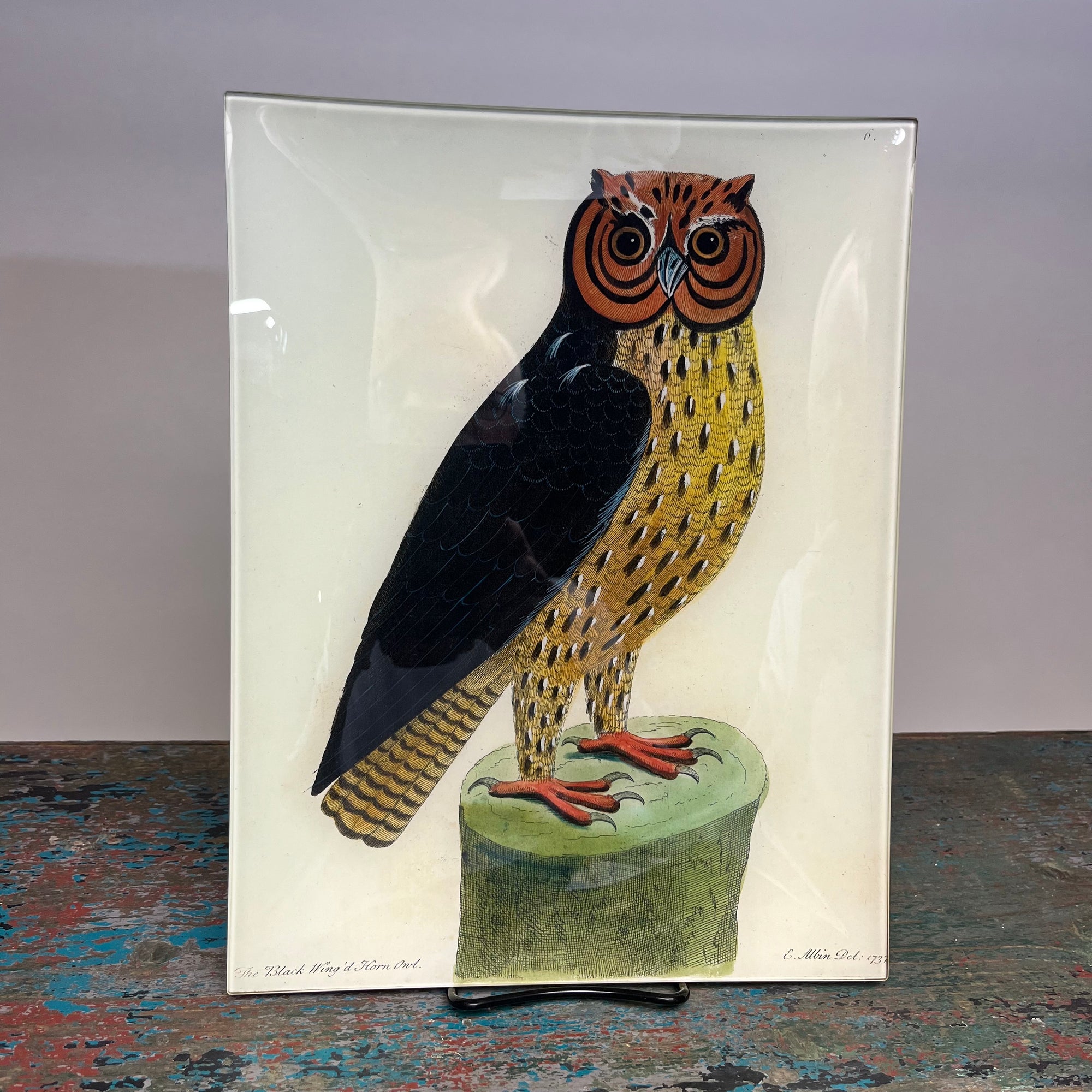 John Derian Horn Owl 10" x 13" Rectangular Decoupage Tray