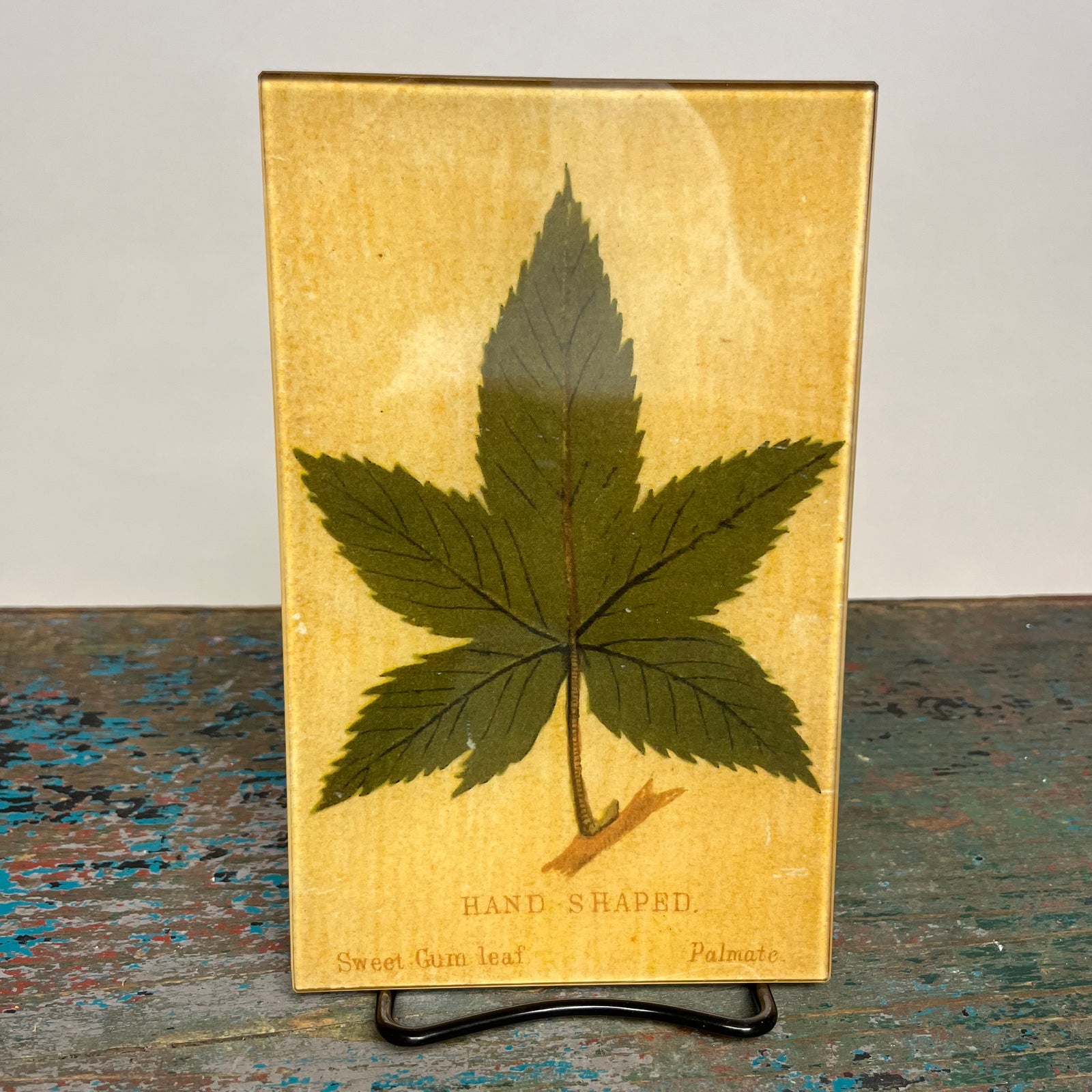 John Derian Hand (Leaf Shape c. 1900) 5" x 8" Rectangular Decoupage Tray