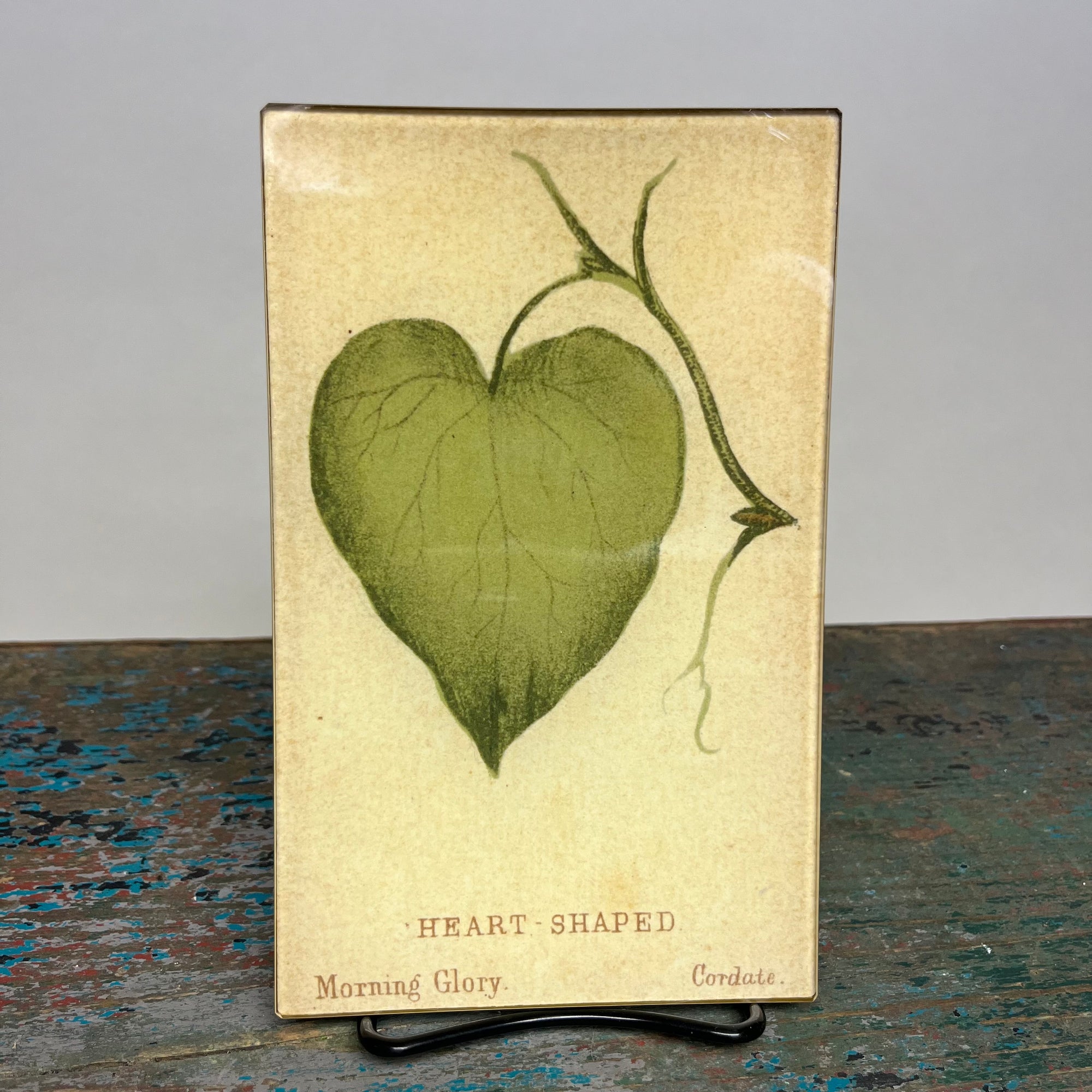 John Derian Heart (Leaf Shape c. 1900) 5" x 8" Rectangular Decoupage Tray