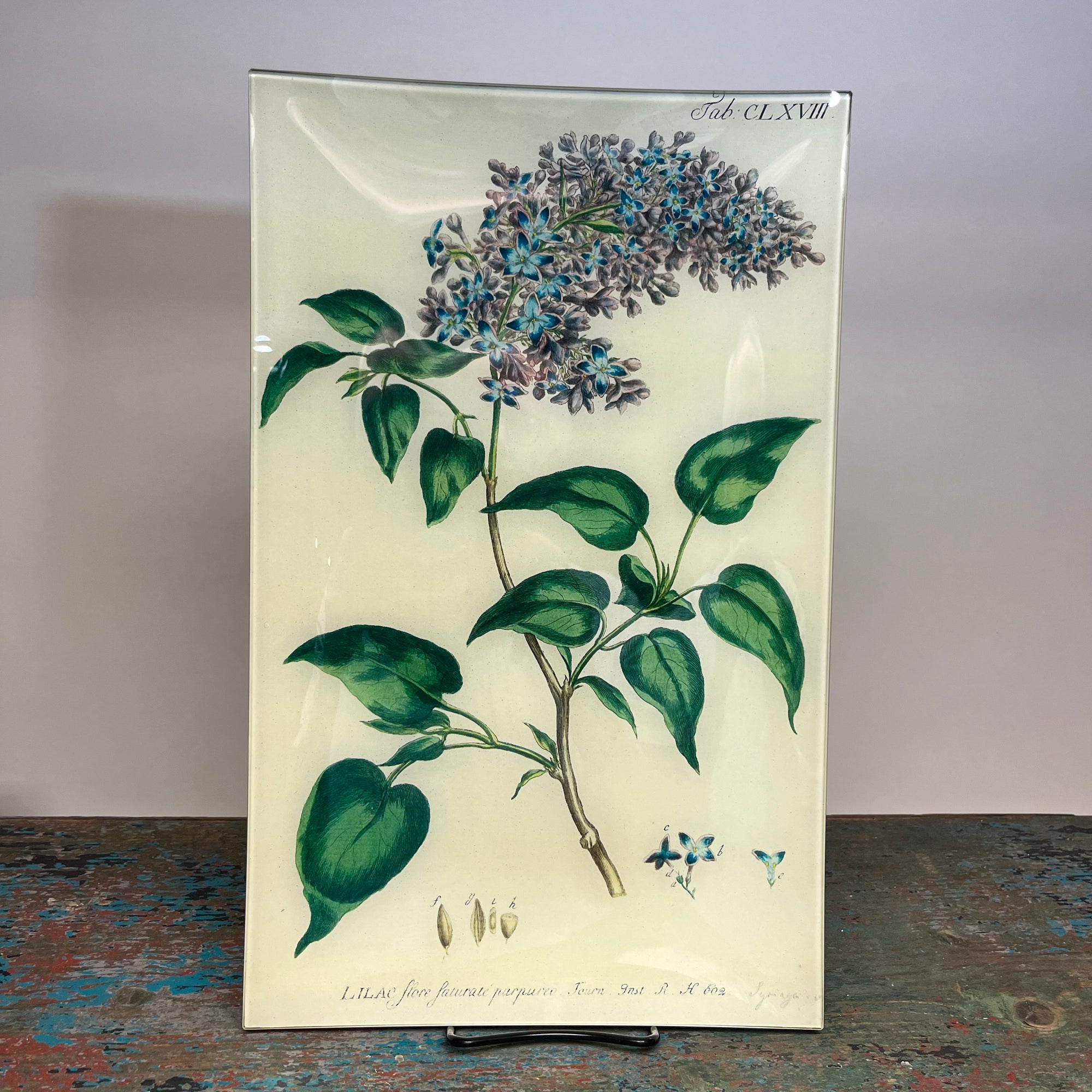 John Derian Lilac 10" x 16" Rectangular Decoupage Tray