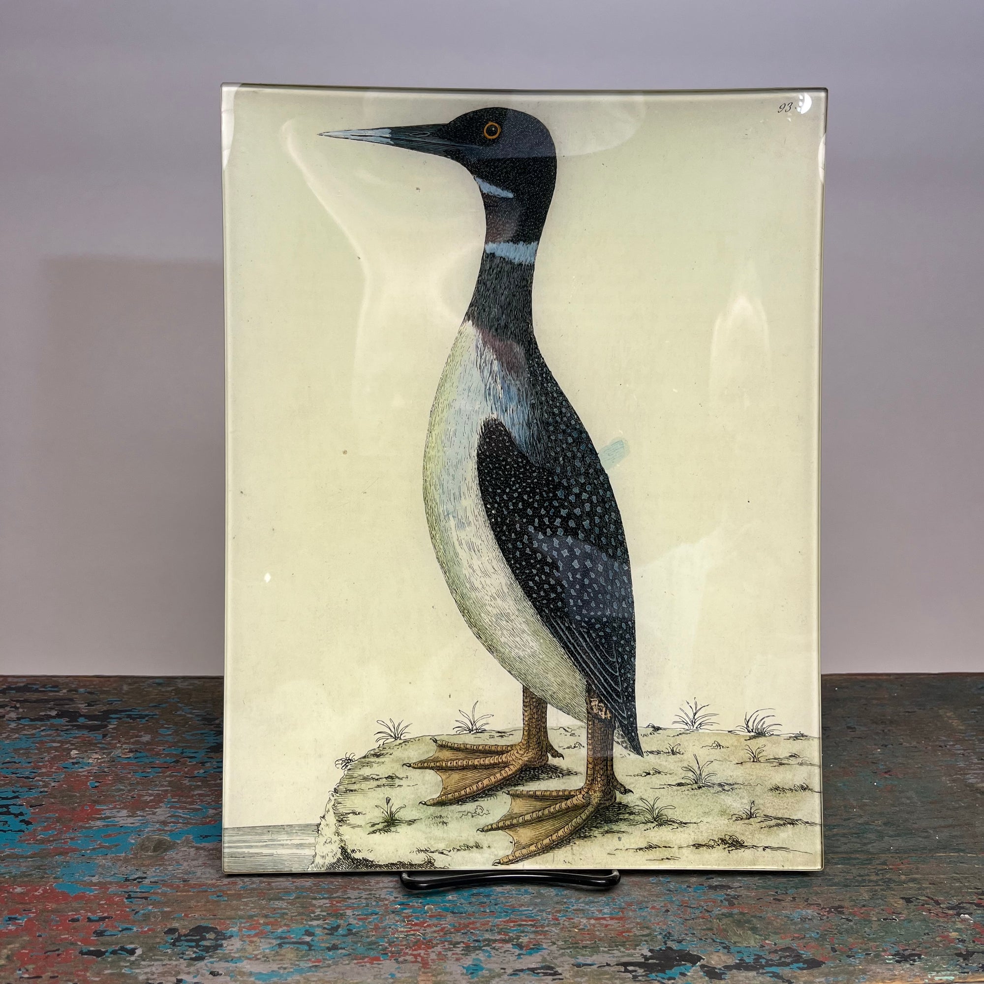 John Derian Speckled Loon 10" x 13" Rectangular Decoupage Tray