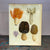 John Derian Mushrooms (Plate 1) 11" x 14" Rectangular Decoupage Tray