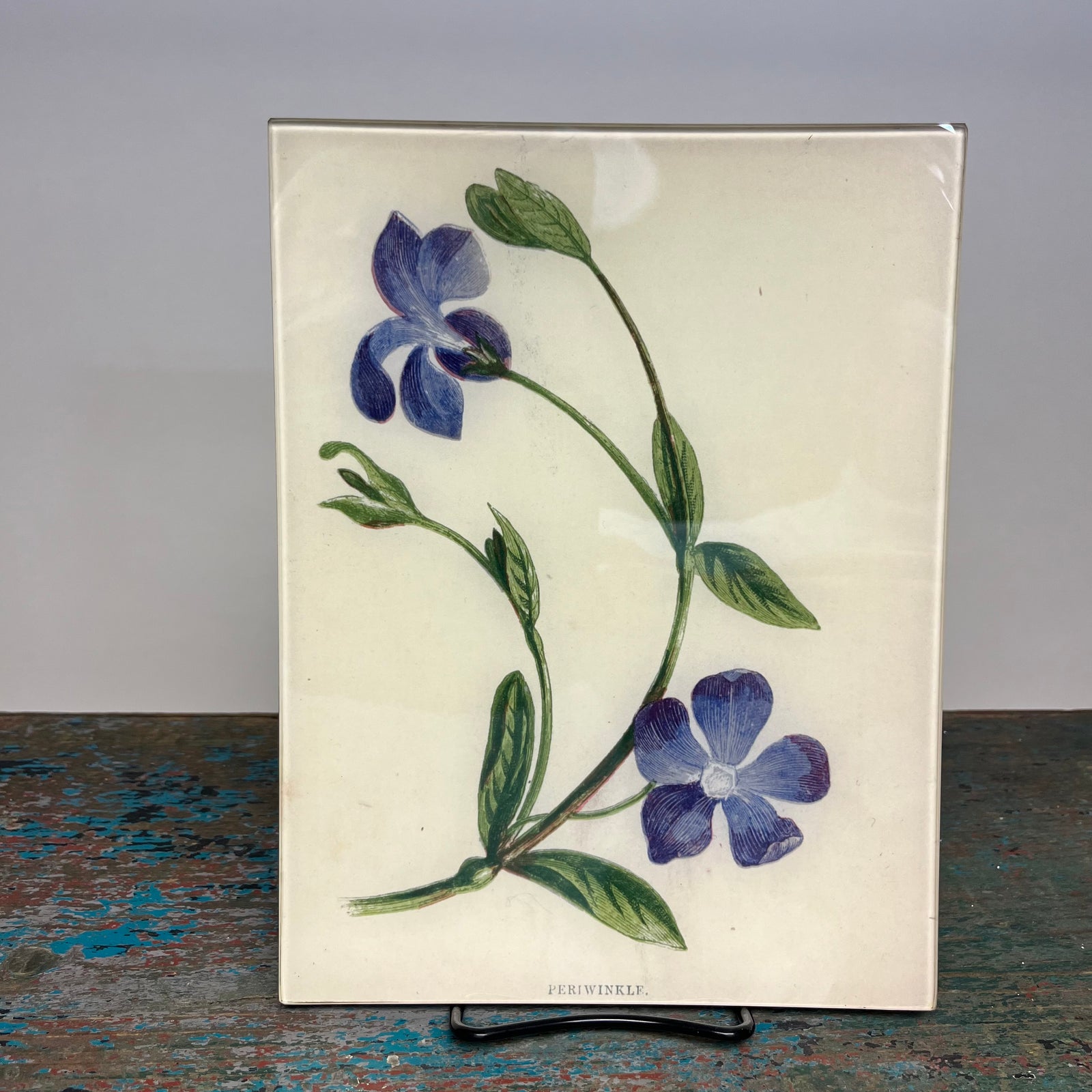 John Derian Periwinkle 8" x 10.5" Rectangular Decoupage Tray