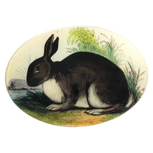 John Derian 7" x 10" Oval Rabbit Decoupage Tray