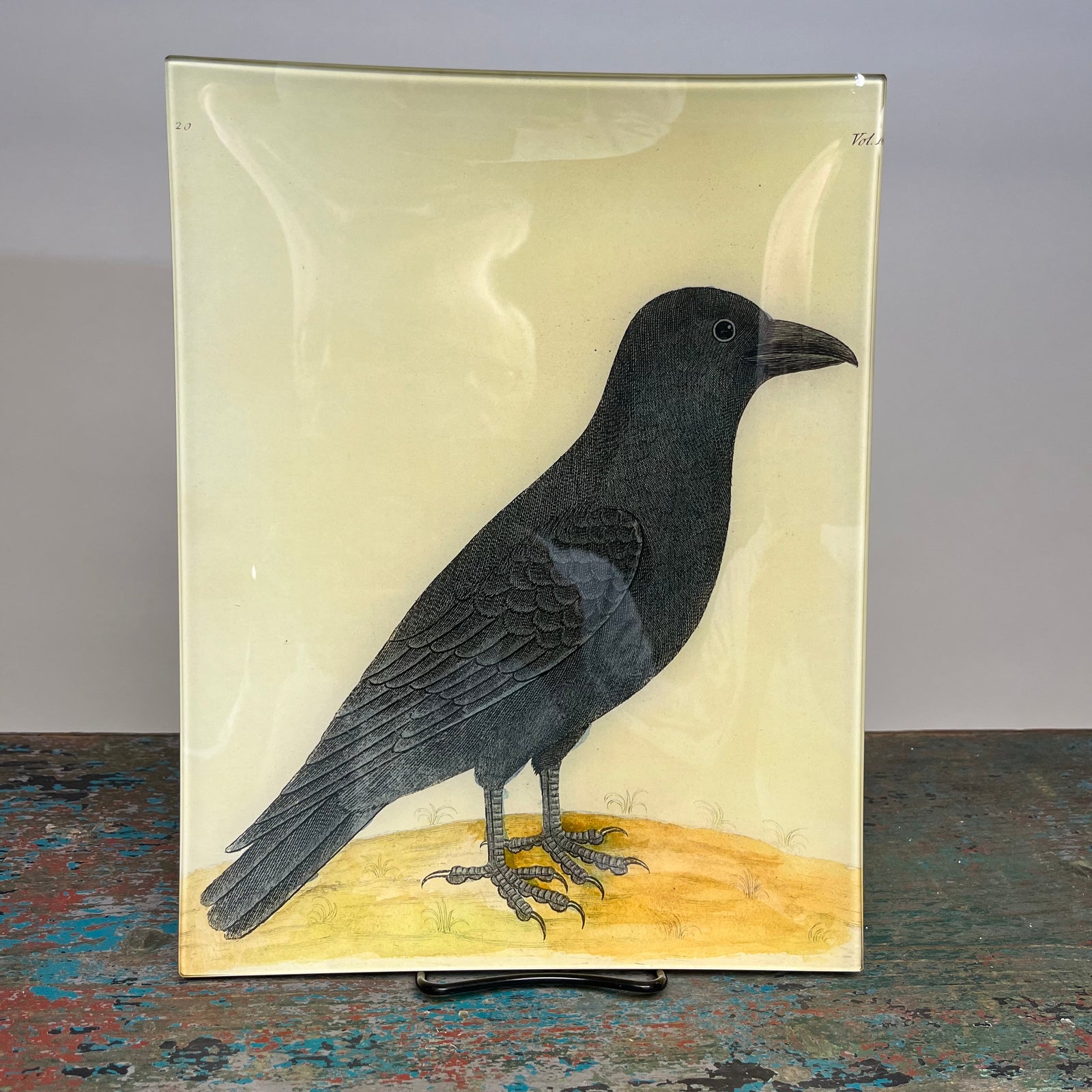 John Derian Raven (Right) 10" x 13" Rectangular Decoupage Tray