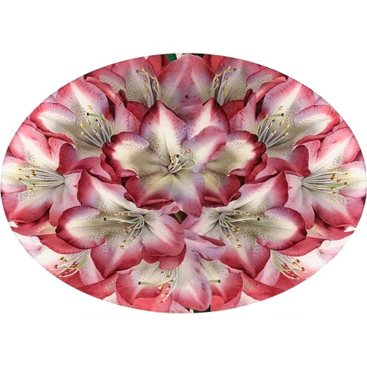 John Derian Rhododendron Princess of Wales 13" x 18" Oval Tray