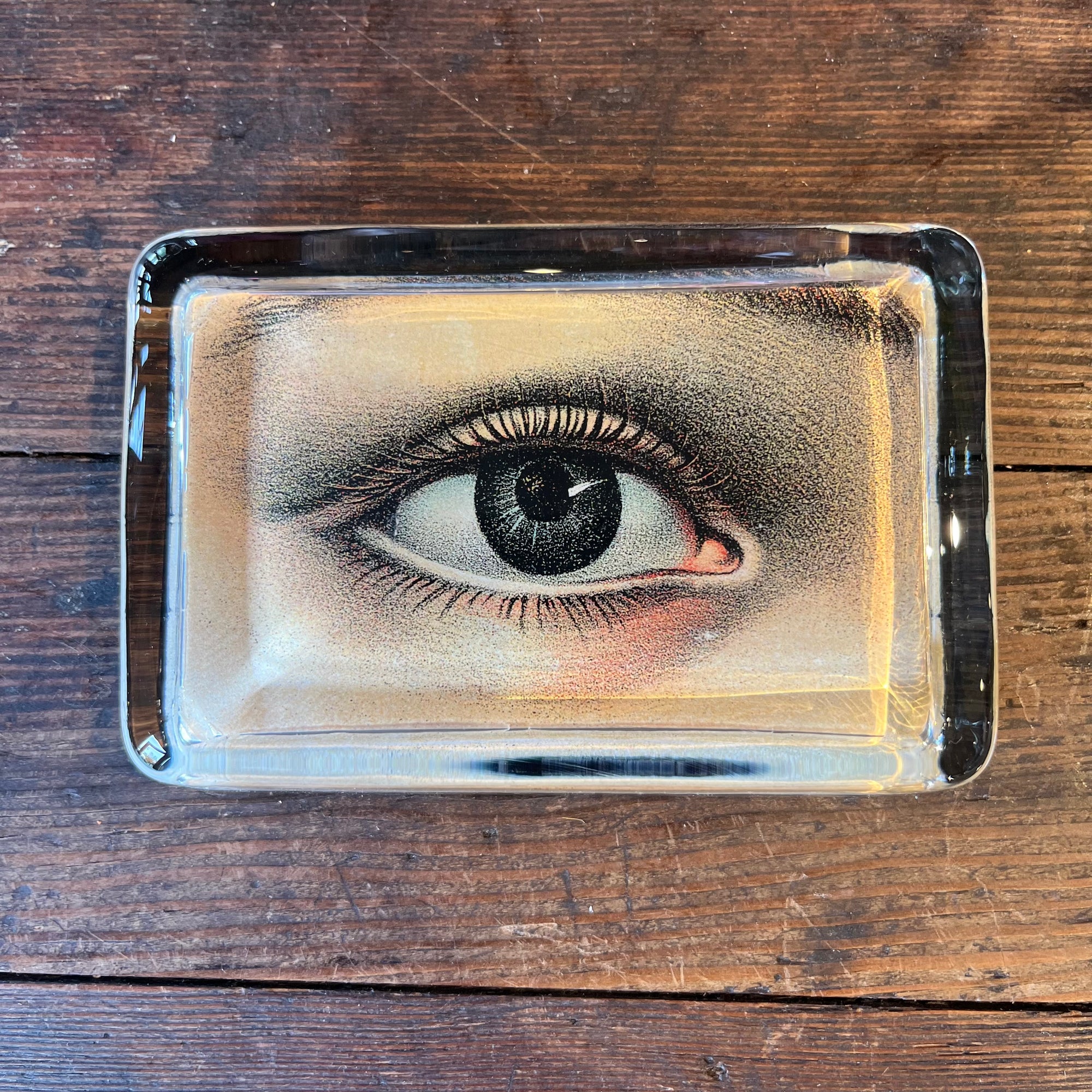 John Derian Right Eye Rectangular Paperweight