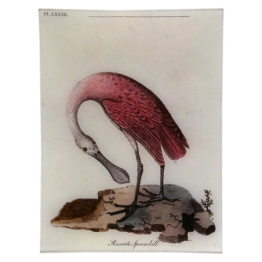 John Derian Roseate Spoonbill Decoupage Tray 9" x 12"