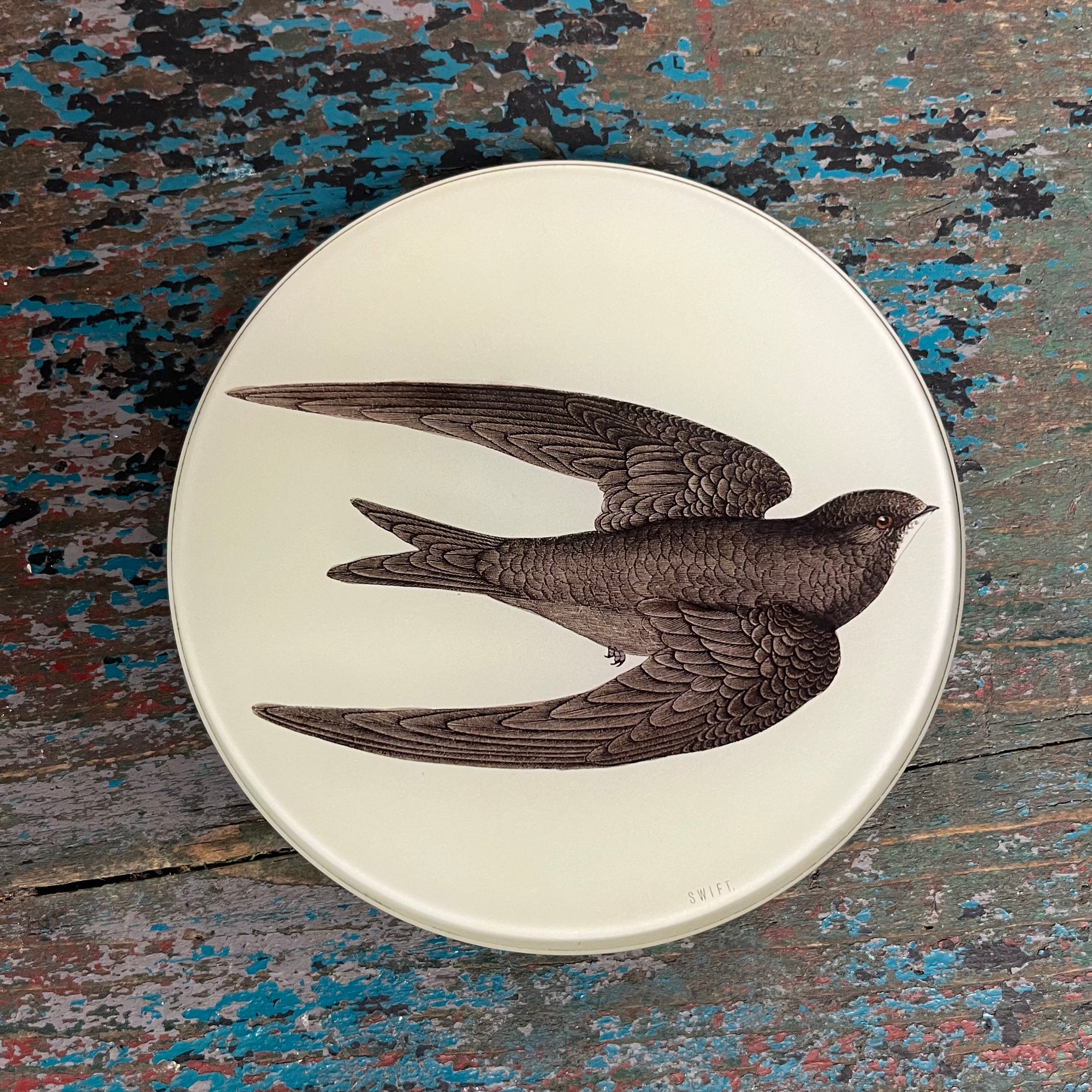 John Derian Swift Bird 5/3/4" Round Decoupage Tray