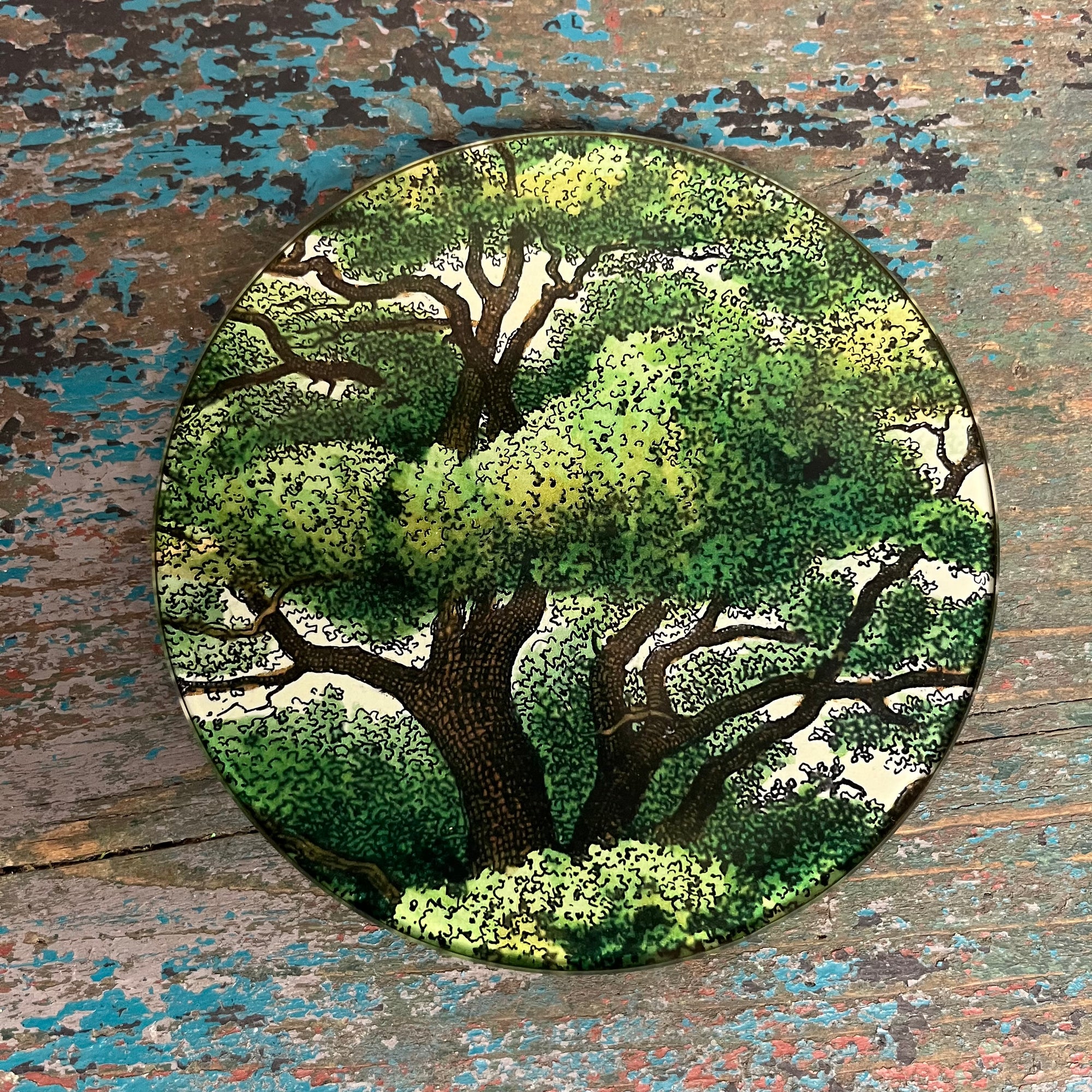 John Derian Branches 5 3/4" Round Decoupage Tray