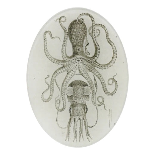 John Derian Squid & Octopus 5" x 7" Oval Decoupage Plate