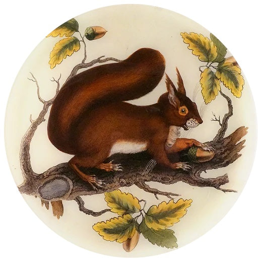 John Derian 13" Squirrel Round Decoupage Plate
