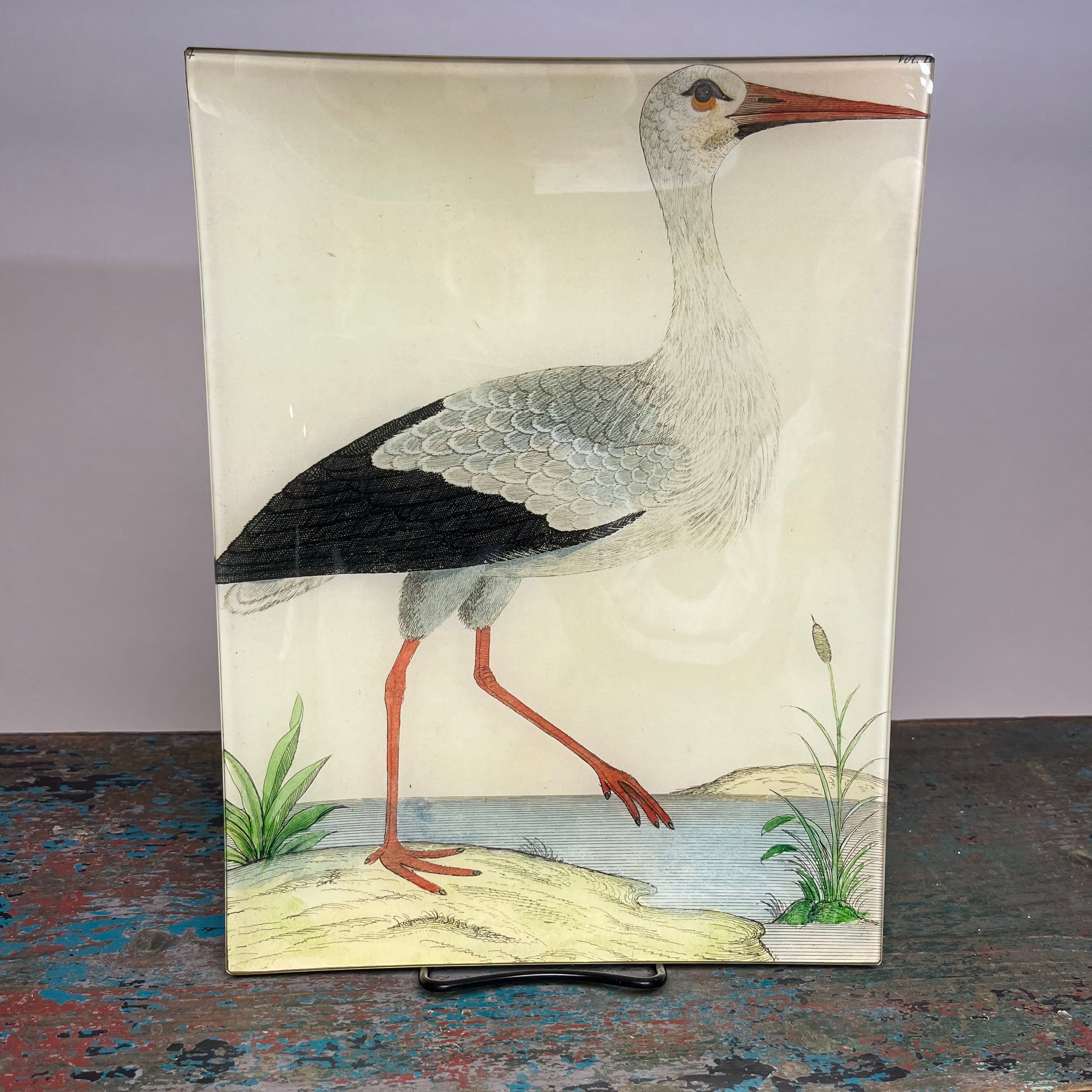 John Derian Stork 10" x 13" Rectangular Decoupage Tray