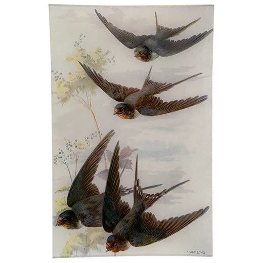 John Derian Swallows 9" x 14" Rectangular Decoupage Tray
