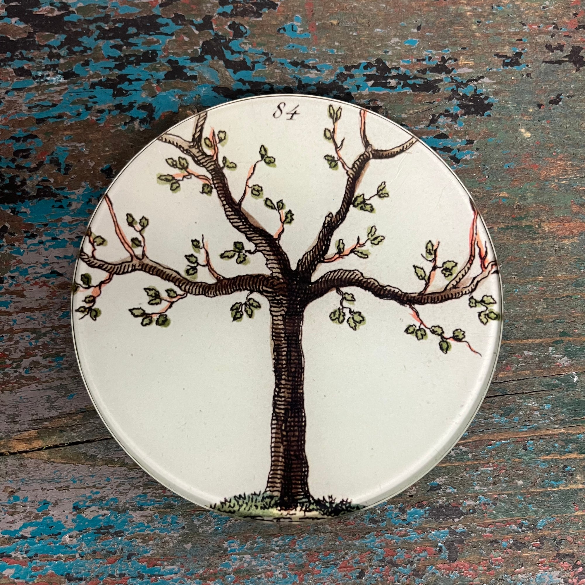 John Derian Tree 84 5 3/4" Round Decoupage Tray