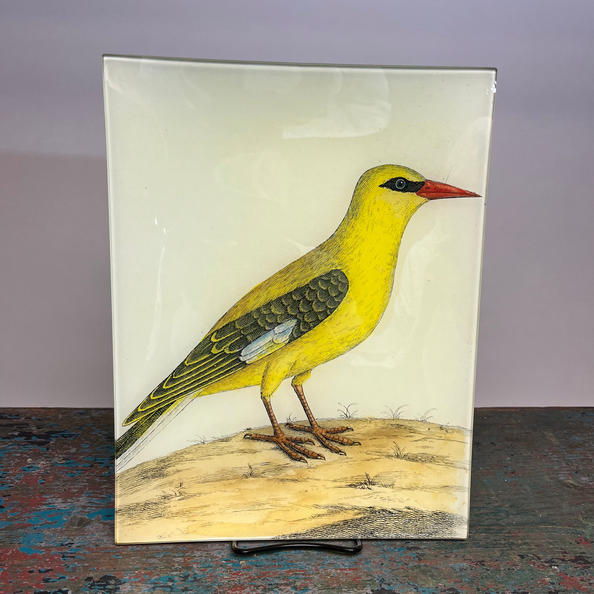 John Derian Bengali Yellow Bird 10" x 13" Rectangular Decoupage Tray