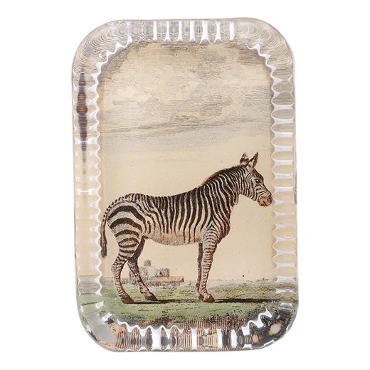 John Derian Zebra Dotted Edge Paperweight